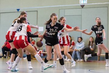 Bild 73 - wBJ SV Henstedt Ulzburg - Bramstedter TS : Ergebnis: 27:15